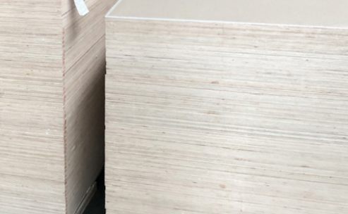 ��������̬��